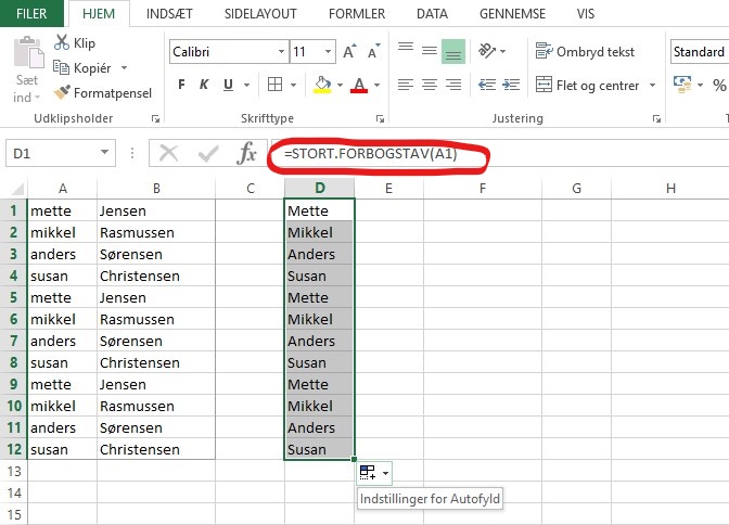 Screenshot af Excel Microsoft