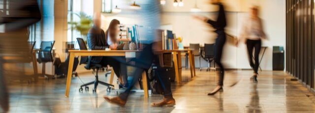 Uddannelse: Leadership Excellence